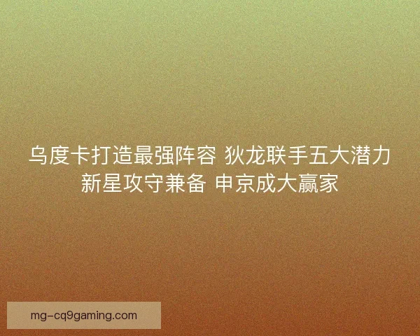 乌度卡打造最强阵容 狄龙联手五大潜力新星攻守兼备 申京成大赢家